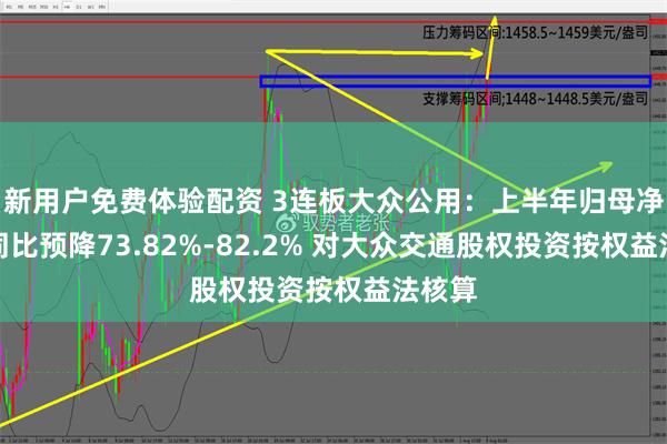 新用户免费体验配资 3连板大众公用：上半年归母净利润同比预降73.82%-82.2% 对大众交通股权投资按权益法核算