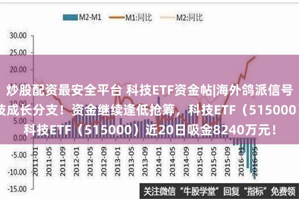 炒股配资最安全平台 科技ETF资金帖|海外鸽派信号强烈，机构