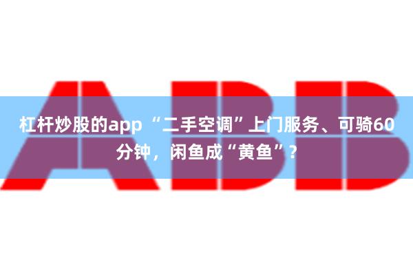 杠杆炒股的app “二手空调”上门服务、可骑60分钟，闲鱼成“黄鱼”？