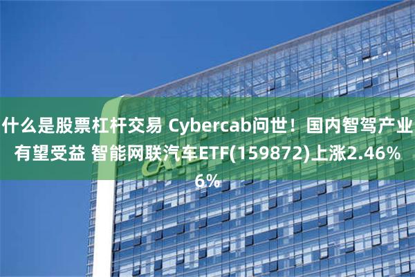 什么是股票杠杆交易 Cybercab问世！国内智驾产业有望受