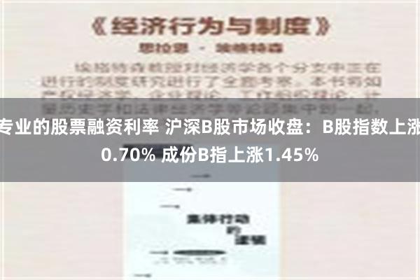 专业的股票融资利率 沪深B股市场收盘：B股指数上涨0.70%