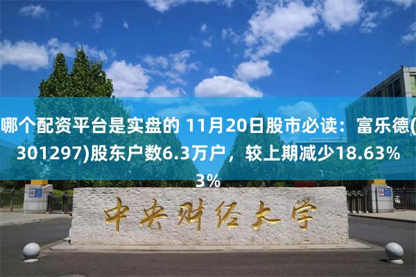 哪个配资平台是实盘的 11月20日股市必读：富乐德(3012