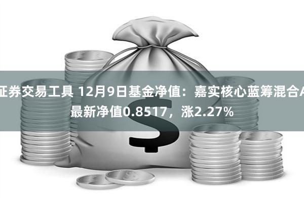 证券交易工具 12月9日基金净值：嘉实核心蓝筹混合A最新净值