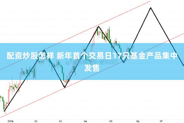 配资炒股怎样 新年首个交易日17只基金产品集中发售