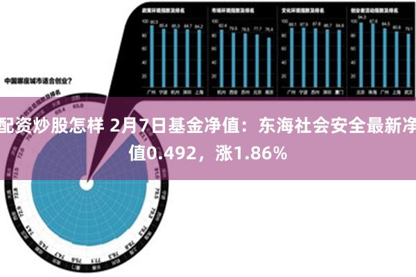 配资炒股怎样 2月7日基金净值：东海社会安全最新净值0.49