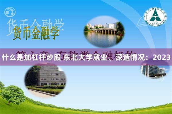 什么是加杠杆炒股 东北大学就业、深造情况：2023